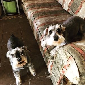 Meet your Posher, Aaron